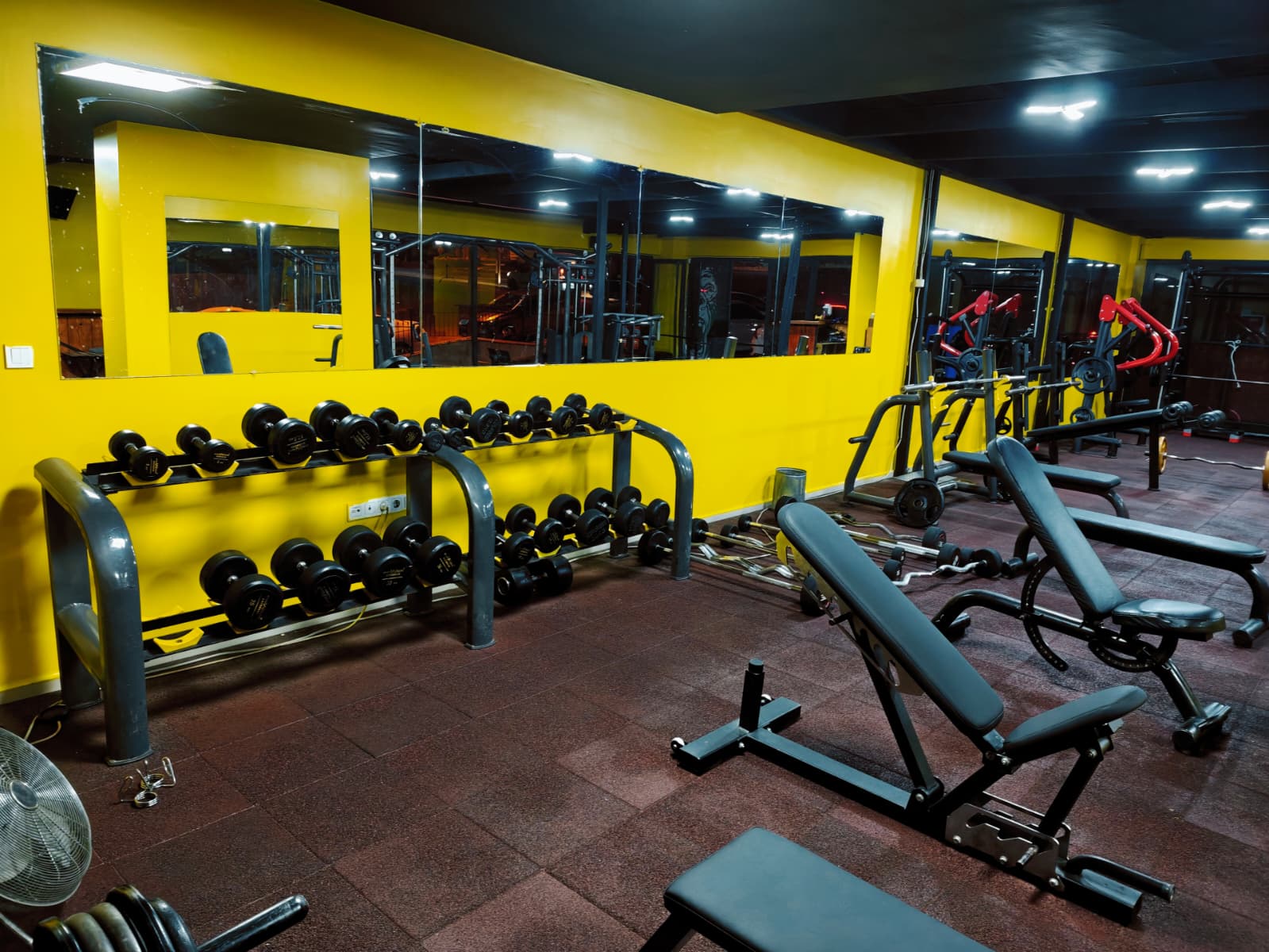 Beast Fitness Bench Press Alanı