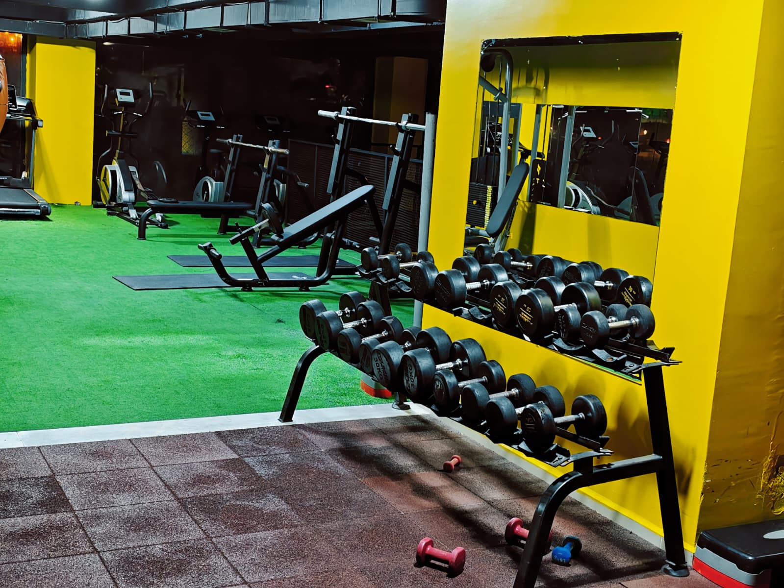 Beast Fitness Aynalı Çalışma Alanı