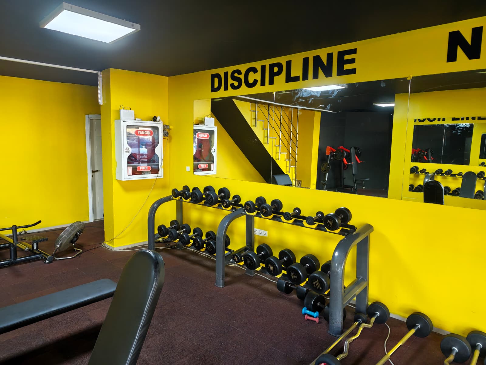Beast Fitness Aydınlı Fitness Dumbbell